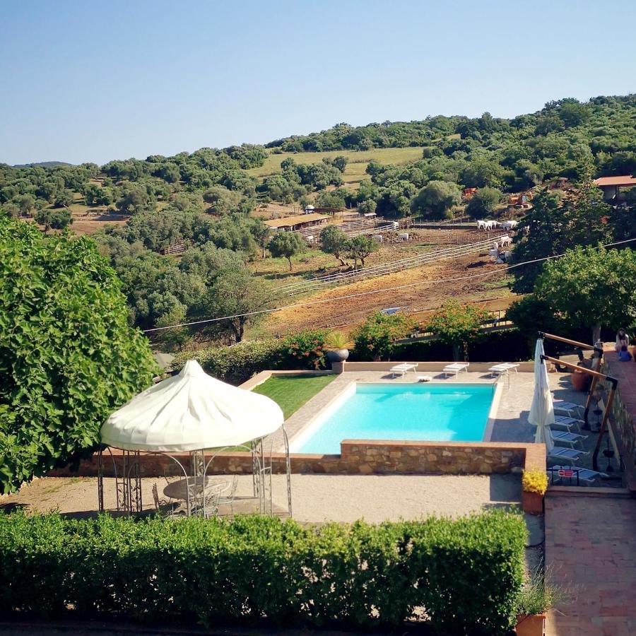 Fattoria Tolomei Campagnatico Exterior photo