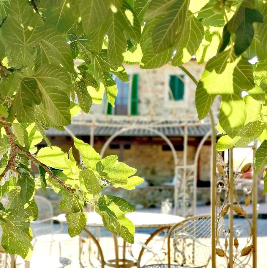 Fattoria Tolomei Campagnatico Exterior photo