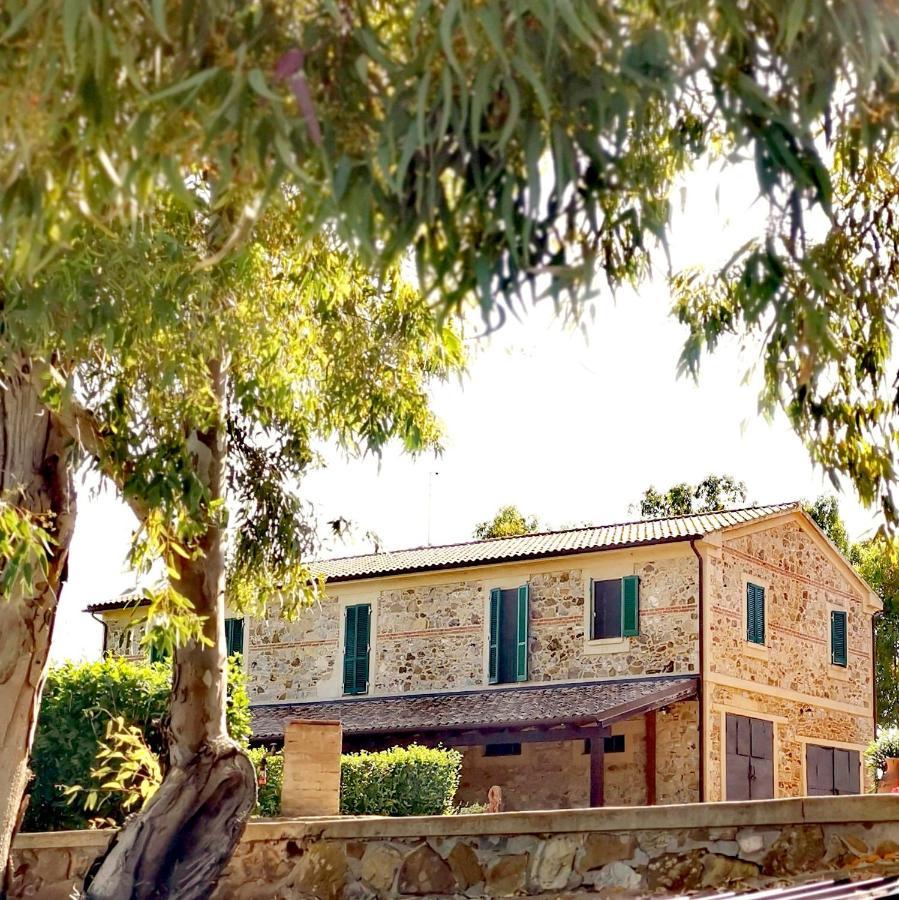 Fattoria Tolomei Campagnatico Exterior photo
