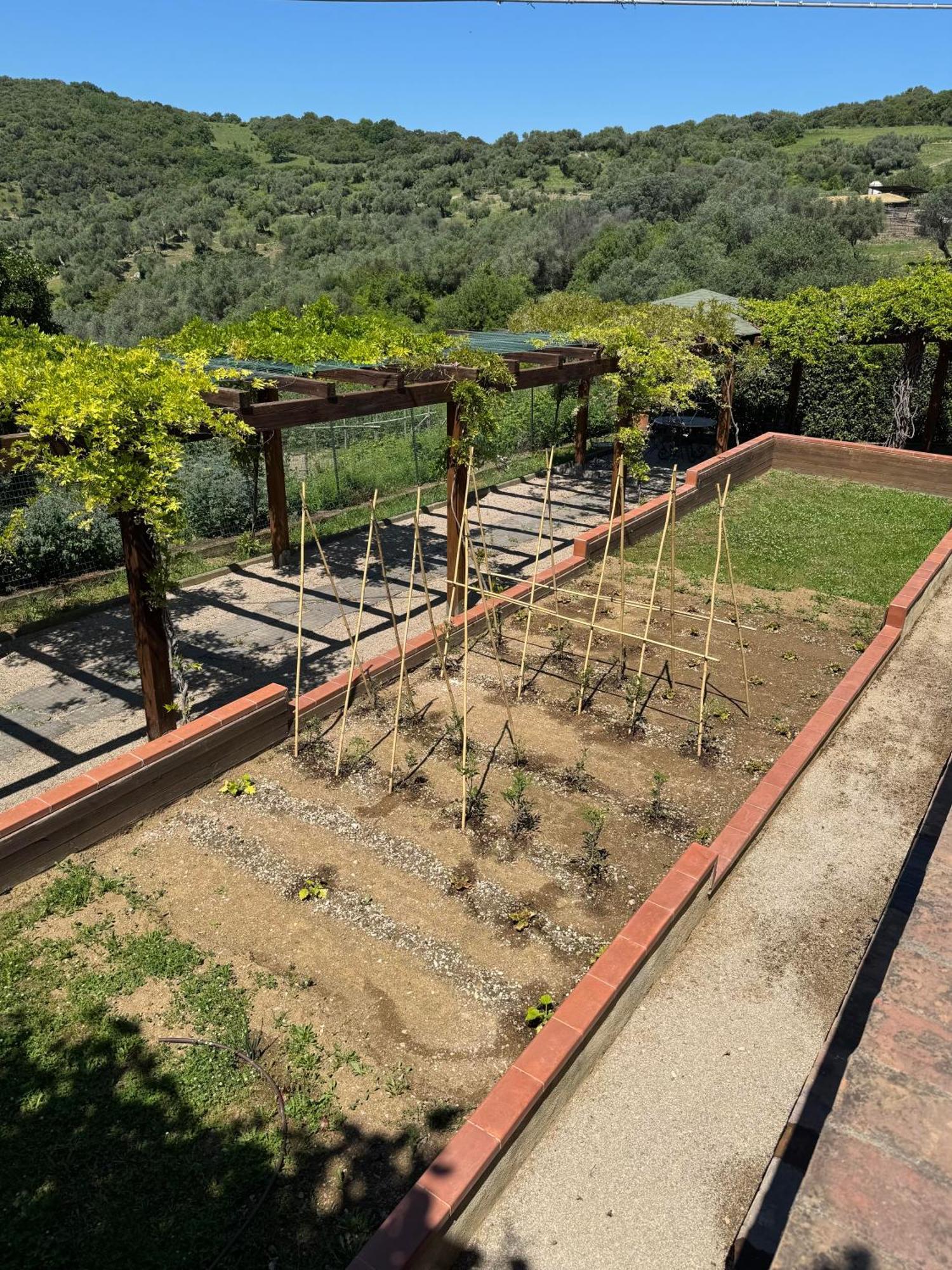 Fattoria Tolomei Campagnatico Exterior photo